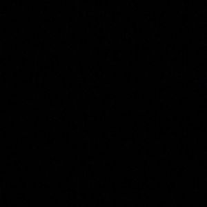 Meet your Posher, Rhiannon